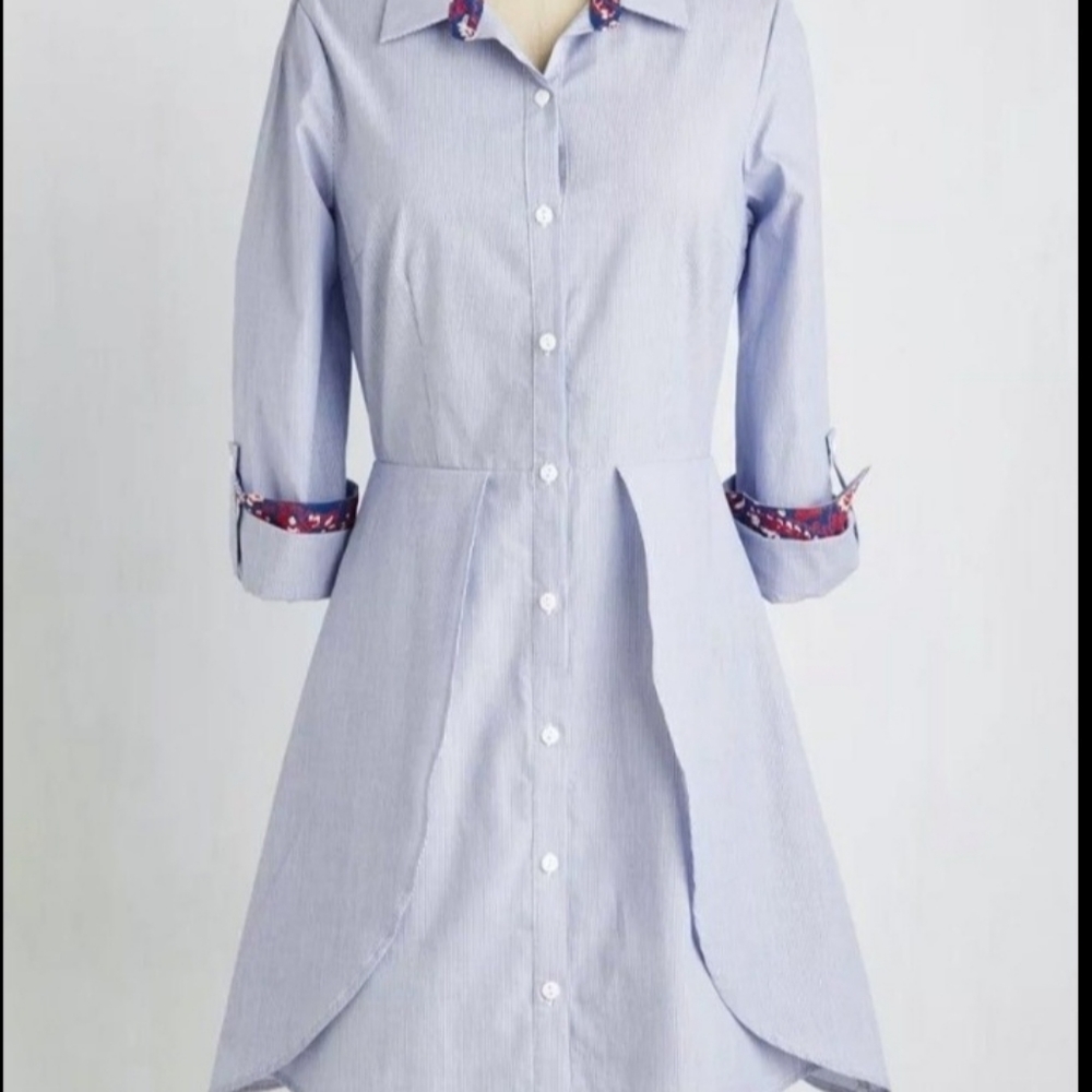 Doe & Rae buttondown tunic/dress